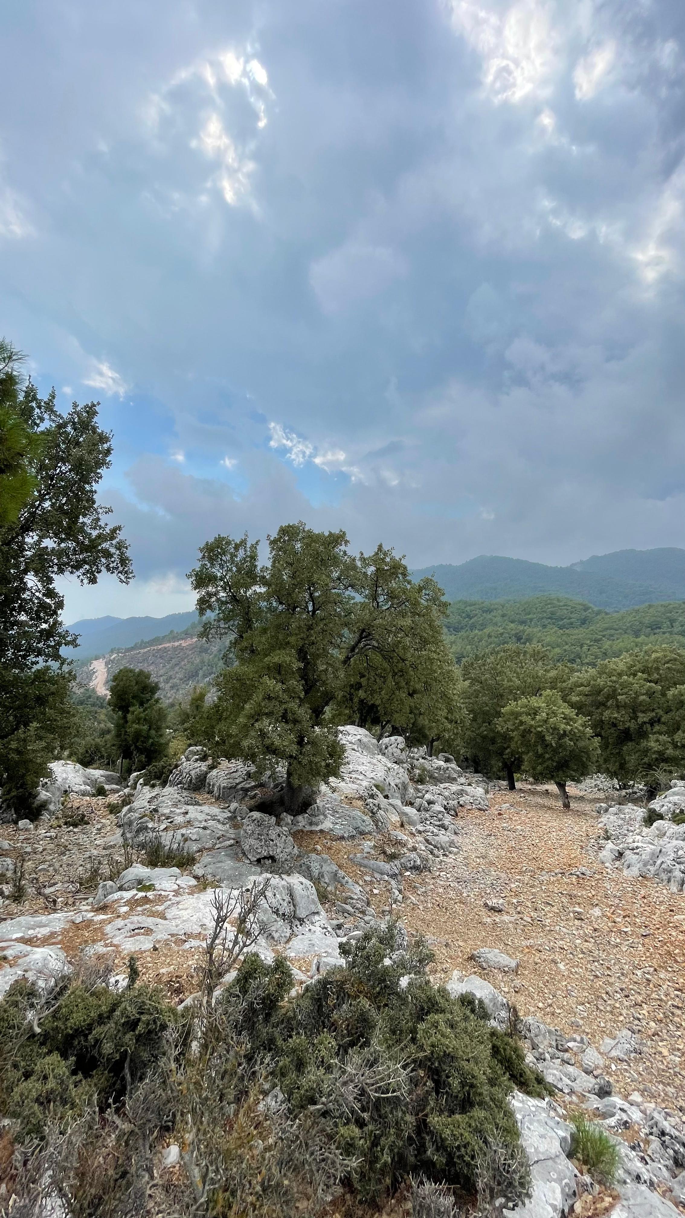 İlan Fotoğrafı